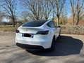Tesla Model Y RWD - thumbnail 4