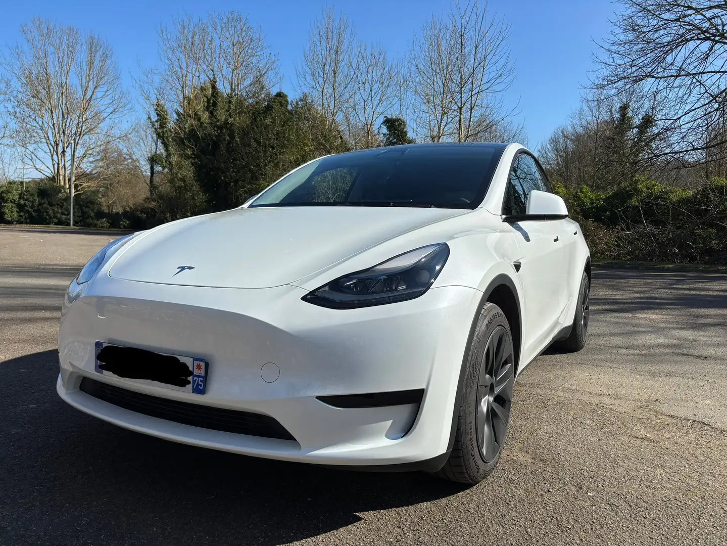 Tesla Model Y RWD - 1