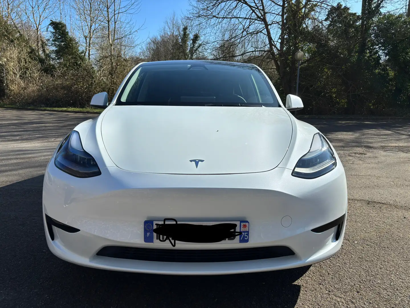 Tesla Model Y RWD - 2