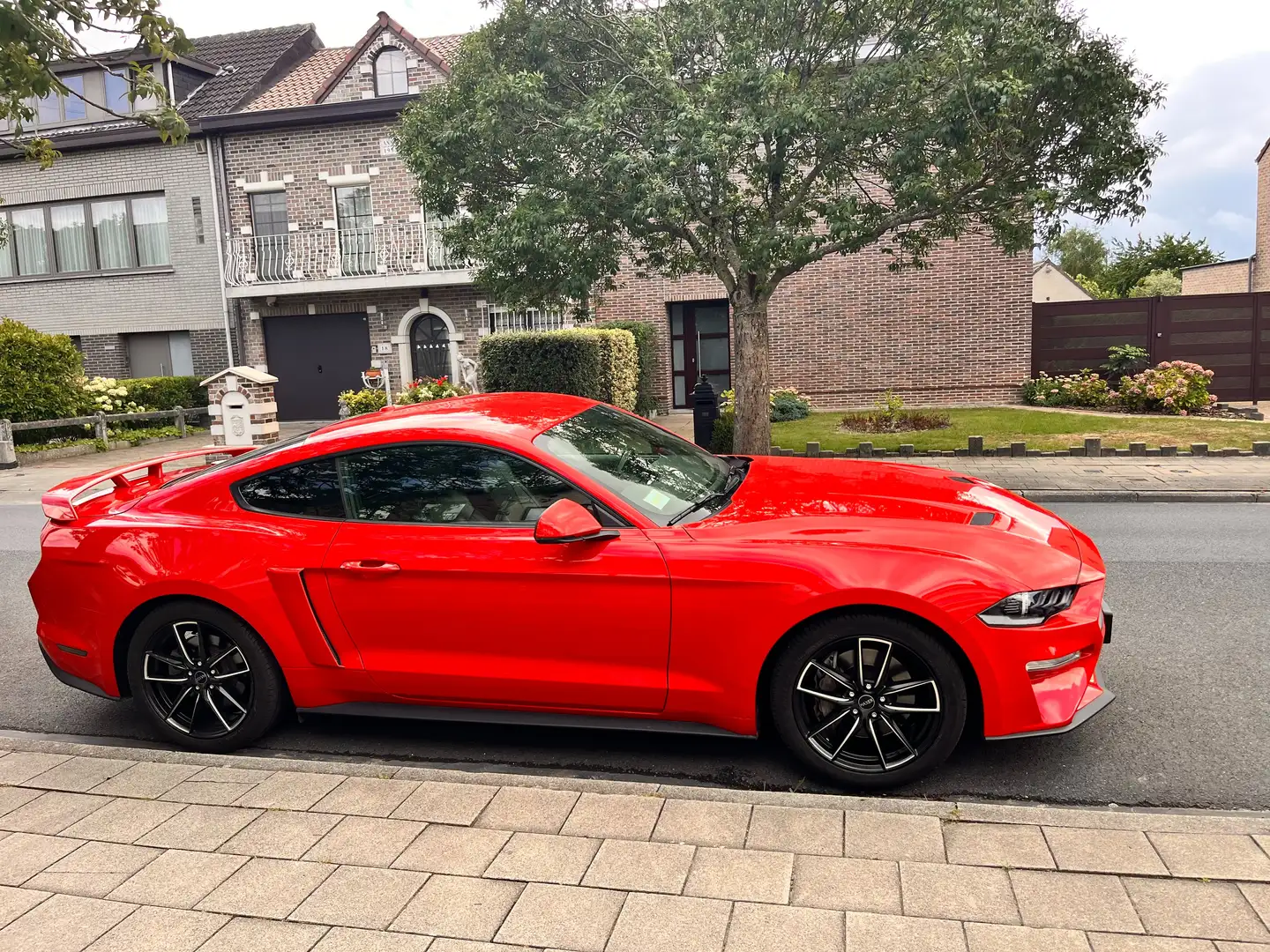 Ford Mustang Mustang 2.3 EcoBoost (EU6.2) - 1