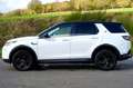 Land Rover Discovery Sport Discovery Sport P200 Weiß - thumbnail 2