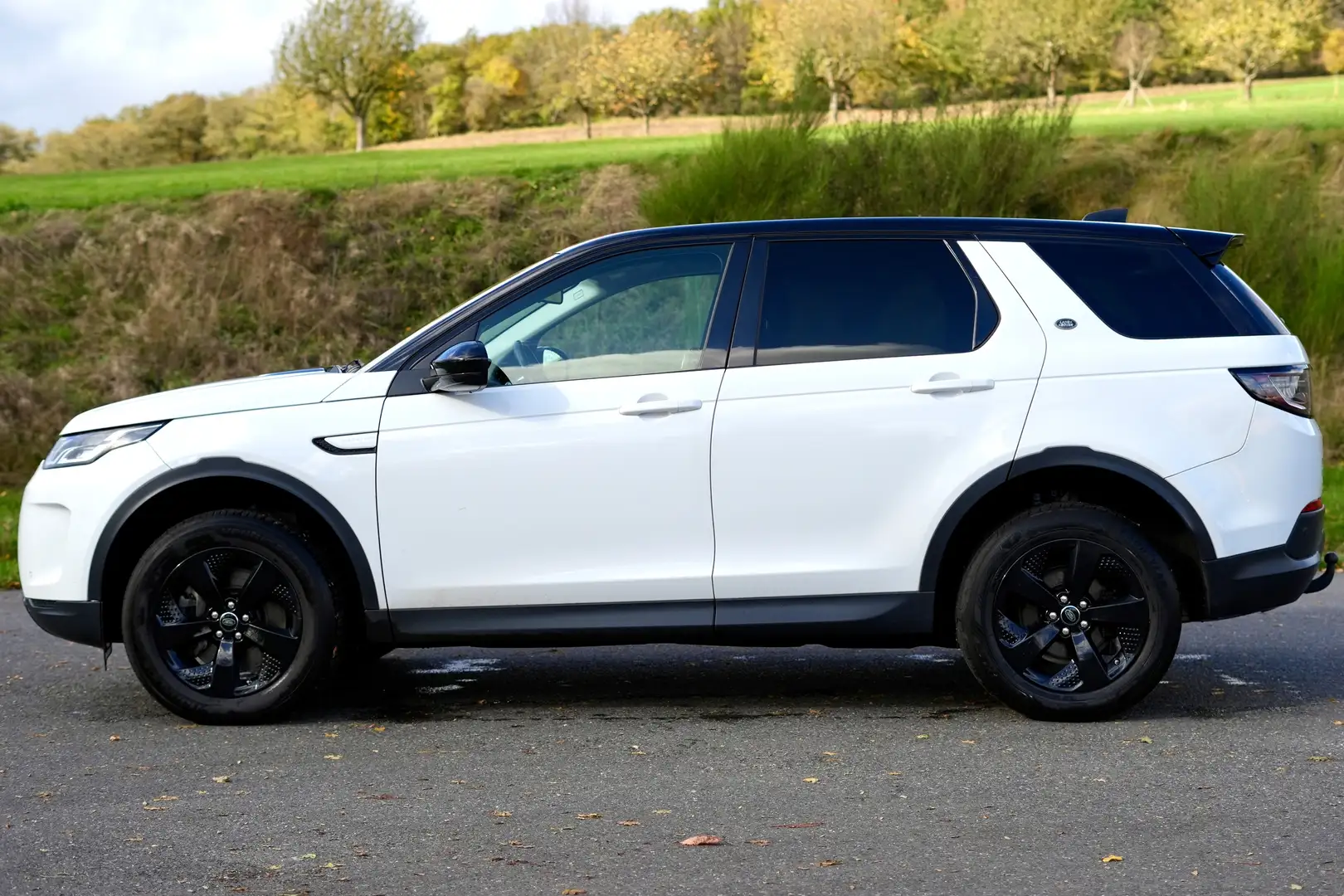 Land Rover Discovery Sport Discovery Sport P200 Weiß - 2