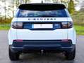 Land Rover Discovery Sport Discovery Sport P200 Weiß - thumbnail 3