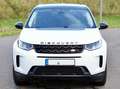 Land Rover Discovery Sport Discovery Sport P200 Weiß - thumbnail 5
