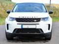 Land Rover Discovery Sport Discovery Sport P200 Weiß - thumbnail 6