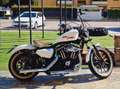 Harley-Davidson Iron 883 Weiß - thumbnail 3