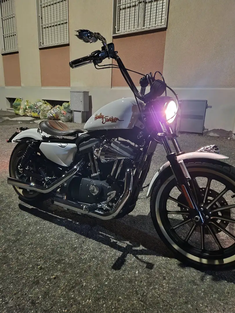 Harley-Davidson Iron 883 Weiß - 1
