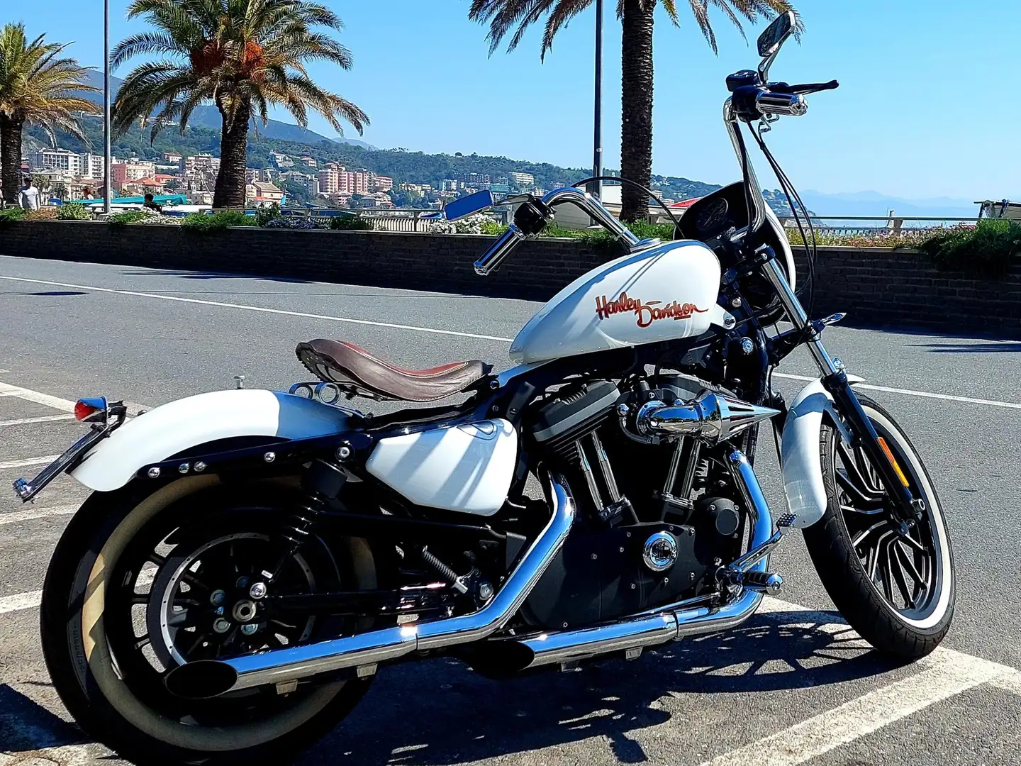 Harley-Davidson Iron 883 Weiß - 2