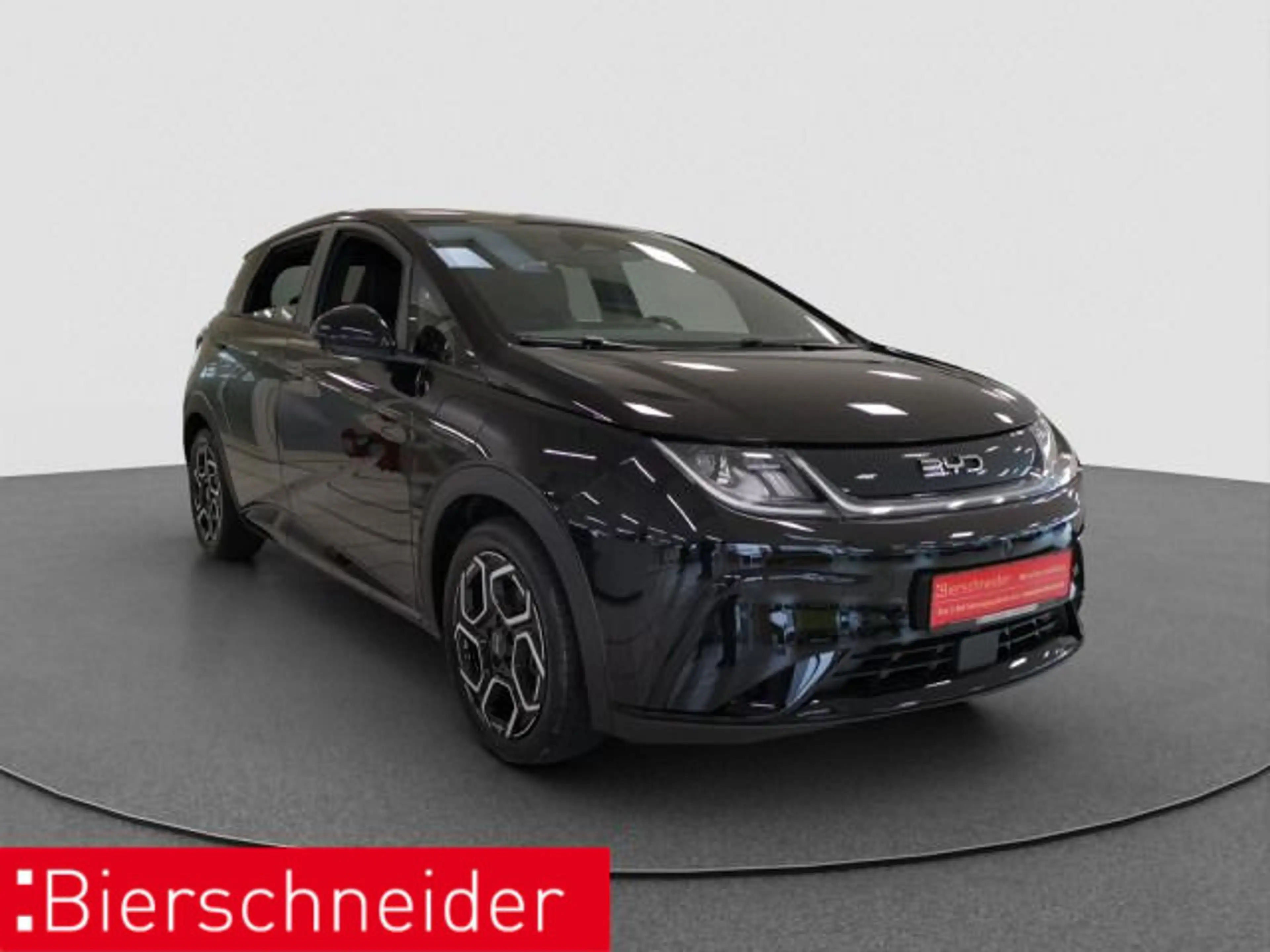 BYD Dolphin Dolphin DMS Design LED PANO LEDER CAM — photo 3