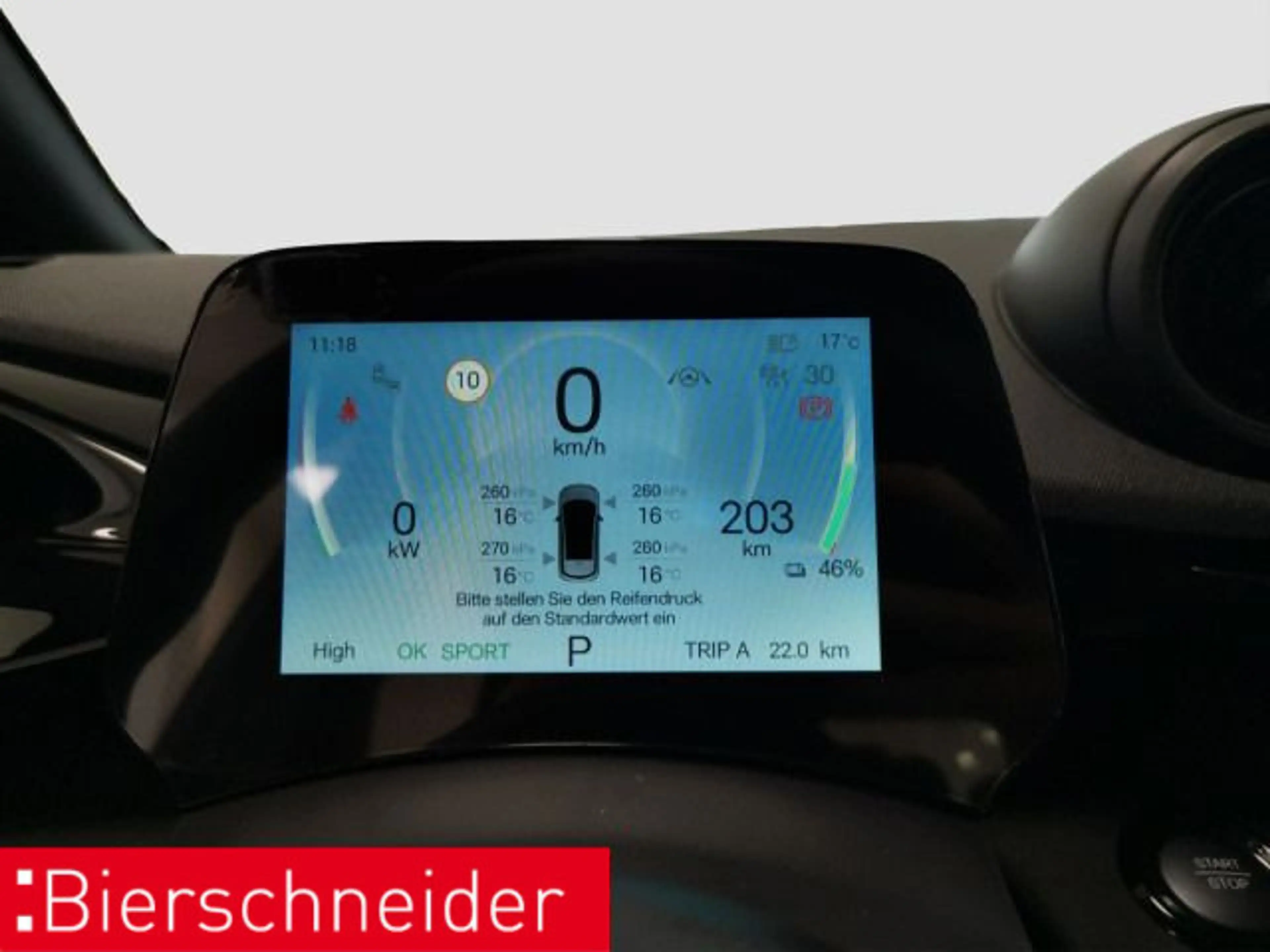 BYD Dolphin Dolphin DMS Design LED PANO LEDER CAM — photo 15