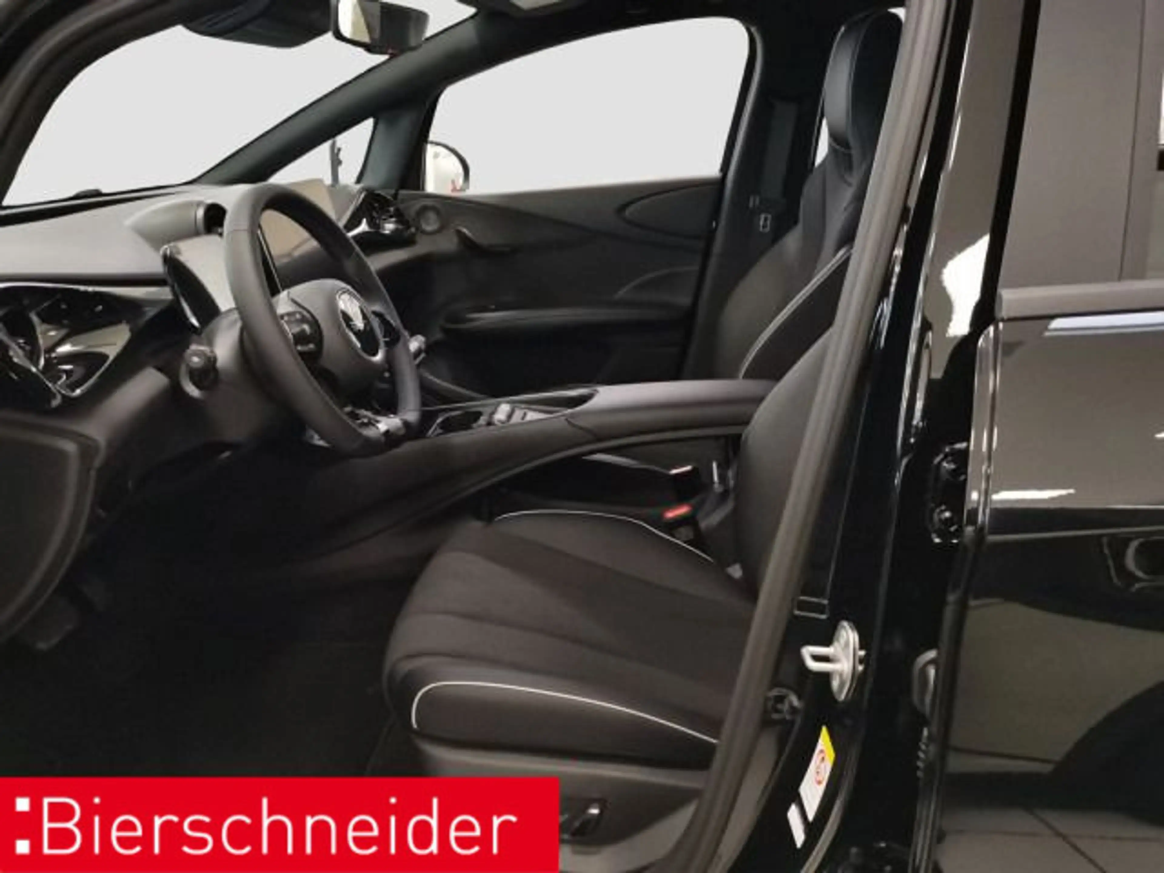 BYD Dolphin Dolphin DMS Design LED PANO LEDER CAM — photo 11