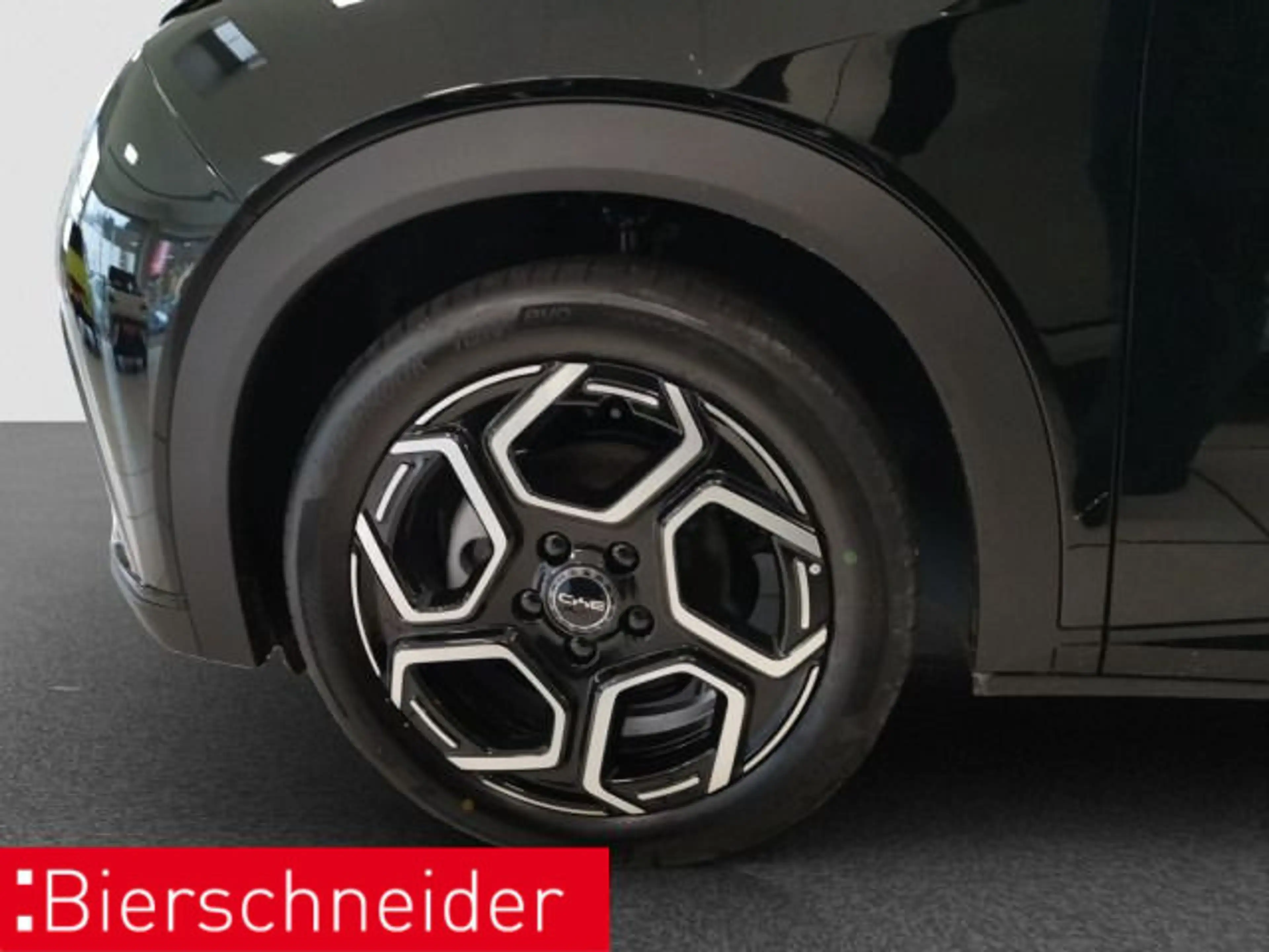 BYD Dolphin Dolphin DMS Design LED PANO LEDER CAM — photo 9