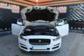 Jaguar XE 2.0 Diesel Pure AWD Aut. 180 Weiß - thumbnail 7