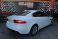 Jaguar XE 2.0 Diesel Pure AWD Aut. 180 Weiß - thumbnail 13