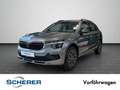 Skoda Kamiq TOUR 1.5TSI 110kw 150PS DSG Grau - thumbnail 1