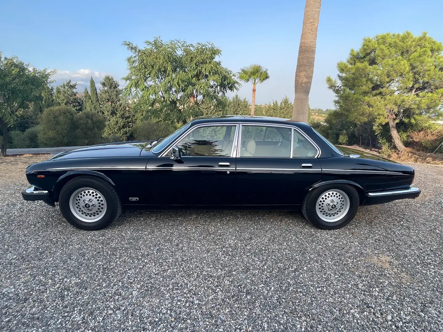 Daimler Double Six Daimler Double Six Schwarz - 1