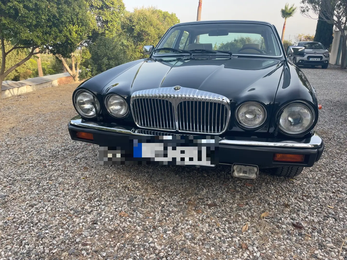 Daimler Double Six Daimler Double Six Schwarz - 2