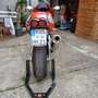 Aprilia RSV Mille NOTVERKAUF Rouge - thumbnail 15