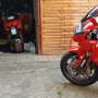 Aprilia RSV Mille NOTVERKAUF Rouge - thumbnail 26
