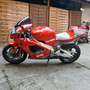 Aprilia RSV Mille NOTVERKAUF Rouge - thumbnail 24