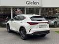 Lexus NX 450h+ AWD President Line | Trekhaak, Mark Levinson, Gehe Blanc - thumbnail 37