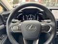 Lexus NX 450h+ AWD President Line | Trekhaak, Mark Levinson, Gehe Blanc - thumbnail 20