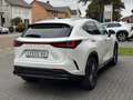 Lexus NX 450h+ AWD President Line | Trekhaak, Mark Levinson, Gehe Blanc - thumbnail 4