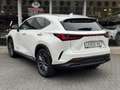Lexus NX 450h+ AWD President Line | Trekhaak, Mark Levinson, Gehe Blanc - thumbnail 7
