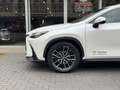 Lexus NX 450h+ AWD President Line | Trekhaak, Mark Levinson, Gehe Blanc - thumbnail 8