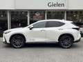 Lexus NX 450h+ AWD President Line | Trekhaak, Mark Levinson, Gehe Blanc - thumbnail 2