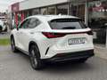 Lexus NX 450h+ AWD President Line | Trekhaak, Mark Levinson, Gehe Blanc - thumbnail 3