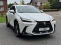 Lexus NX 450h+ AWD President Line | Trekhaak, Mark Levinson, Gehe Blanc - thumbnail 5