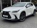Lexus NX 450h+ AWD President Line | Trekhaak, Mark Levinson, Gehe Blanc - thumbnail 36