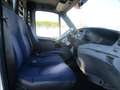 Iveco Daily 35C12 2.3 M-JET 120CV RIBALTABILE TRILATERALE Bianco - thumbnail 12