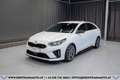Kia ProCeed / pro_cee'd Proceed 1,6 TGDI GPF GT DCT Aut.*1.BESITZ*GARAN... Weiß - thumbnail 1
