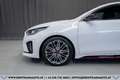 Kia ProCeed / pro_cee'd Proceed 1,6 TGDI GPF GT DCT Aut.*1.BESITZ*GARAN... Weiß - thumbnail 6