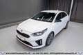 Kia ProCeed / pro_cee'd Proceed 1,6 TGDI GPF GT DCT Aut.*1.BESITZ*GARAN... Weiß - thumbnail 2