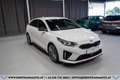 Kia ProCeed / pro_cee'd Proceed 1,6 TGDI GPF GT DCT Aut.*1.BESITZ*GARAN... Weiß - thumbnail 4