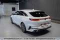 Kia ProCeed / pro_cee'd Proceed 1,6 TGDI GPF GT DCT Aut.*1.BESITZ*GARAN... Weiß - thumbnail 7