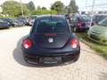 Volkswagen New Beetle 1.9 TDI BlackOrange Klima Radio Sitzh. HU AU Neu Schwarz - thumbnail 4