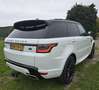 Land Rover Range Rover Sport 3.0 HSE|GRIJS Kenteken|PANO|Luchtvering|Dealer ond Wit - thumbnail 3