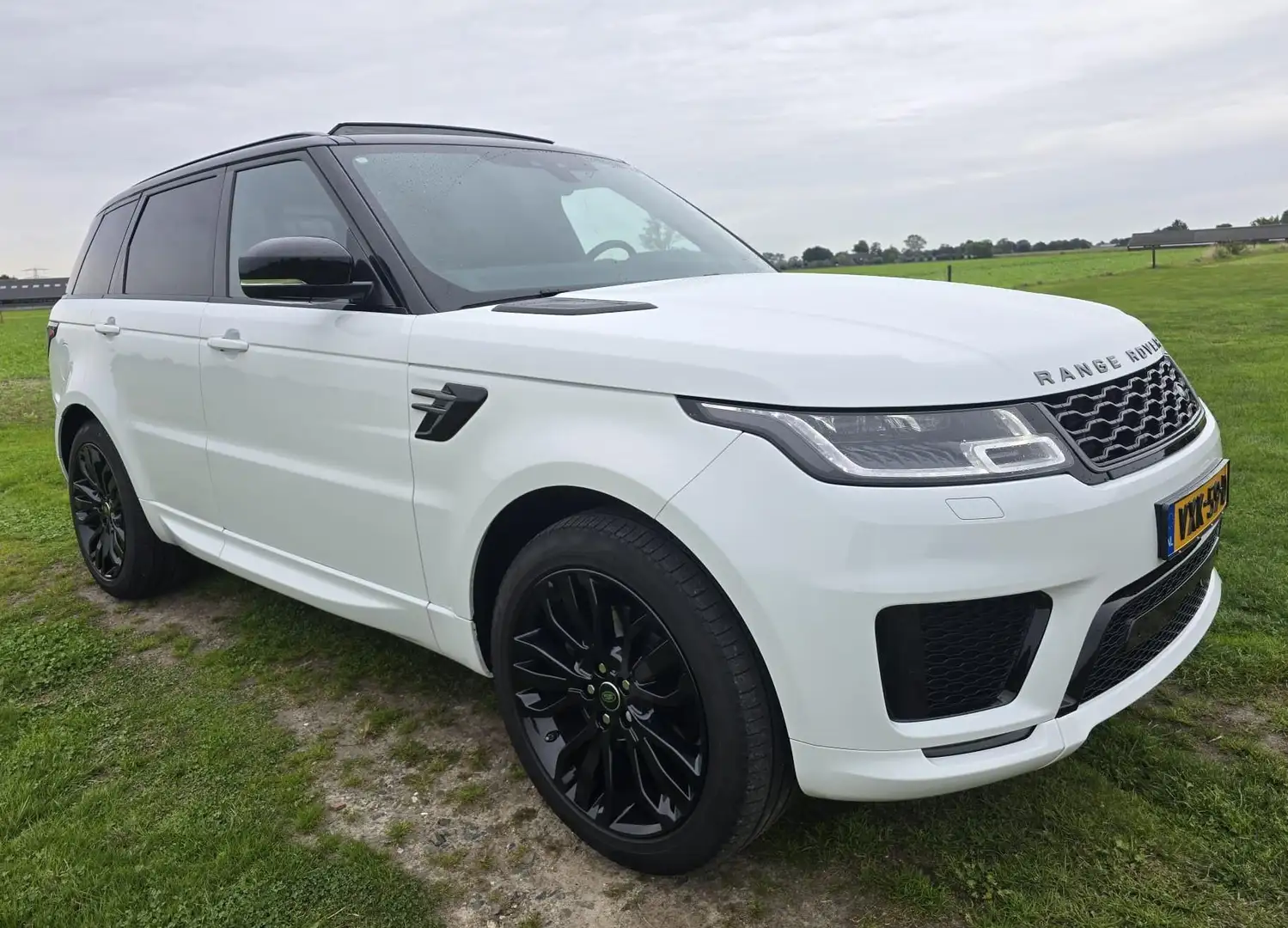 Land Rover Range Rover Sport 3.0 HSE|GRIJS Kenteken|PANO|Luchtvering|Dealer ond Blanc - 2