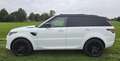 Land Rover Range Rover Sport 3.0 HSE|GRIJS Kenteken|PANO|Luchtvering|Dealer ond Wit - thumbnail 6
