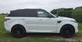Land Rover Range Rover Sport 3.0 HSE|GRIJS Kenteken|PANO|Luchtvering|Dealer ond Wit - thumbnail 5