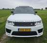 Land Rover Range Rover Sport 3.0 HSE|GRIJS Kenteken|PANO|Luchtvering|Dealer ond Wit - thumbnail 7