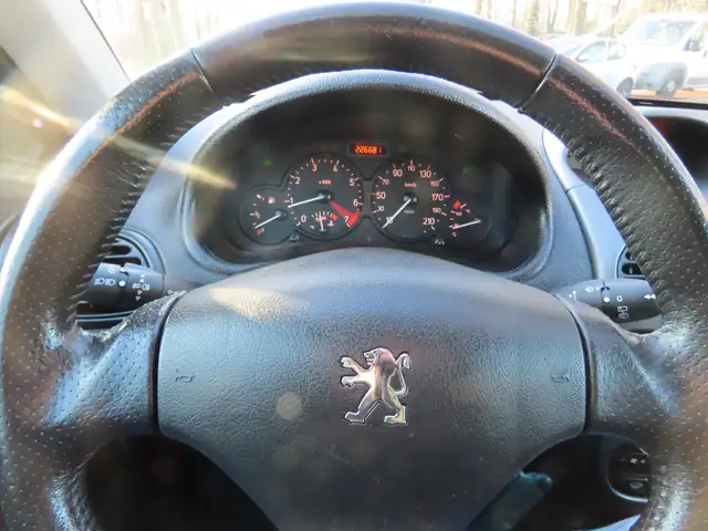 Peugeot 206 view 12