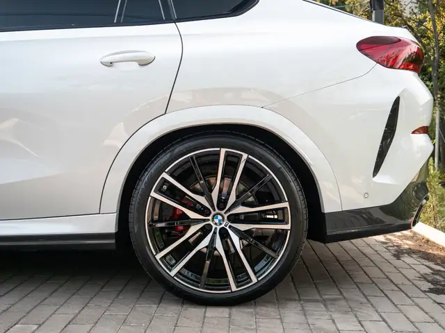 BMW X6 view 12