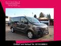 Nissan NV300 Kombi L1H1 TEKNA 2,0 dCi  8-SITZE /02256 Szürke - thumbnail 1