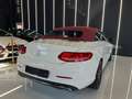 Mercedes-Benz C 220 Cabrio d Premium Plus auto Bianco - thumbnail 4