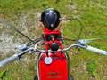 Moto Guzzi 250 TS Egretta 250 Rosso - thumbnail 5